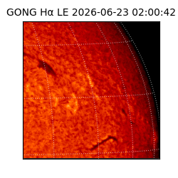 gong - 2026-06-23T02:00:42