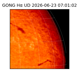 gong - 2026-06-23T07:01:02