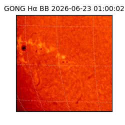 gong - 2026-06-23T01:00:02