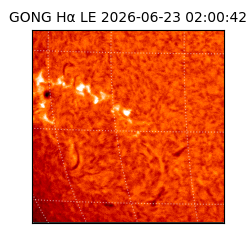 gong - 2026-06-23T02:00:42