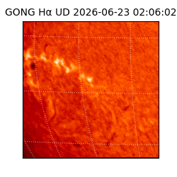 gong - 2026-06-23T02:06:02