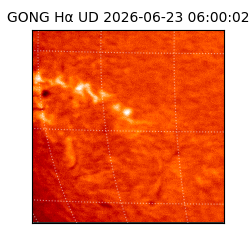 gong - 2026-06-23T06:00:02