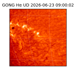 gong - 2026-06-23T09:00:02