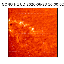 gong - 2026-06-23T10:00:02