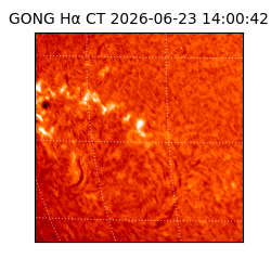 gong - 2026-06-23T14:00:42