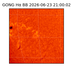 gong - 2026-06-23T21:00:02