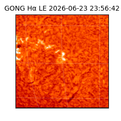 gong - 2026-06-23T23:56:42