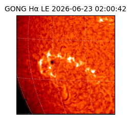gong - 2026-06-23T02:00:42