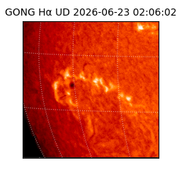 gong - 2026-06-23T02:06:02