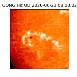 gong - 2026-06-23T08:08:02