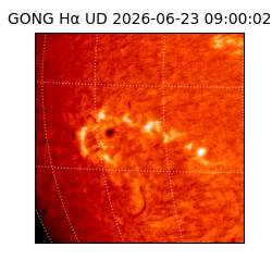 gong - 2026-06-23T09:00:02