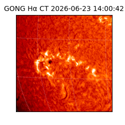 gong - 2026-06-23T14:00:42