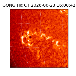 gong - 2026-06-23T16:00:42