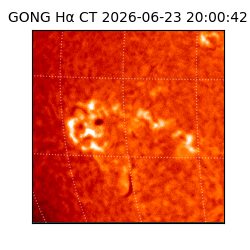 gong - 2026-06-23T20:00:42