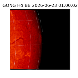 gong - 2026-06-23T01:00:02