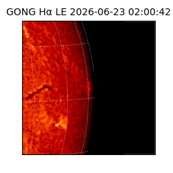 gong - 2026-06-23T02:00:42
