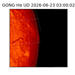 gong - 2026-06-23T03:00:02