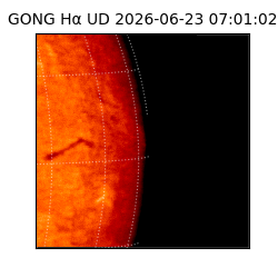 gong - 2026-06-23T07:01:02