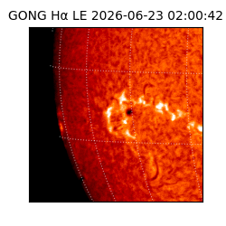 gong - 2026-06-23T02:00:42