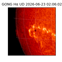 gong - 2026-06-23T02:06:02