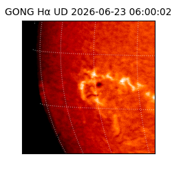 gong - 2026-06-23T06:00:02