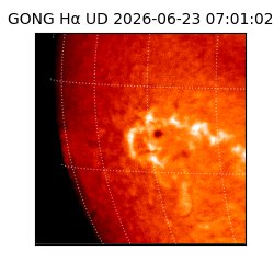 gong - 2026-06-23T07:01:02