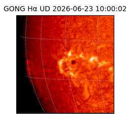 gong - 2026-06-23T10:00:02