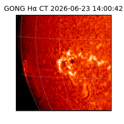 gong - 2026-06-23T14:00:42