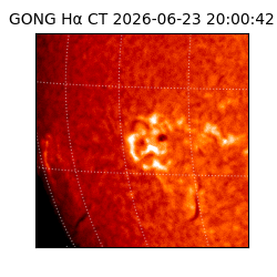 gong - 2026-06-23T20:00:42