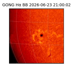 gong - 2026-06-23T21:00:02