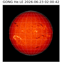 gong - 2026-06-23T02:00:42