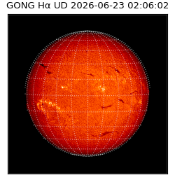 gong - 2026-06-23T02:06:02