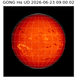 gong - 2026-06-23T09:00:02