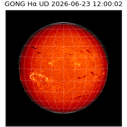 gong - 2026-06-23T12:00:02