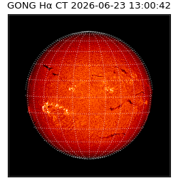 gong - 2026-06-23T13:00:42