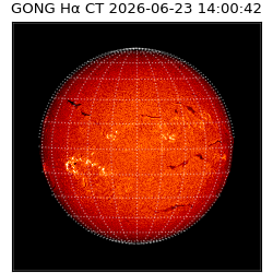 gong - 2026-06-23T14:00:42