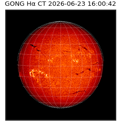 gong - 2026-06-23T16:00:42