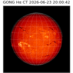 gong - 2026-06-23T20:00:42