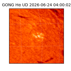 gong - 2026-06-24T04:00:02