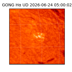 gong - 2026-06-24T05:00:02
