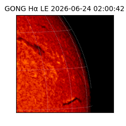 gong - 2026-06-24T02:00:42