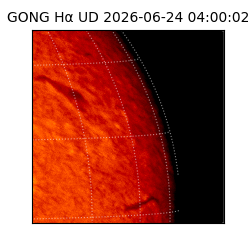 gong - 2026-06-24T04:00:02