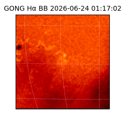 gong - 2026-06-24T01:17:02