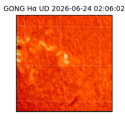 gong - 2026-06-24T02:06:02