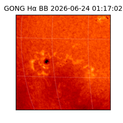 gong - 2026-06-24T01:17:02