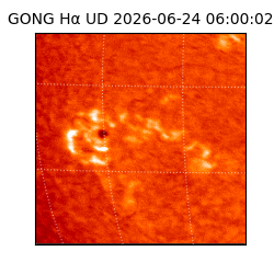 gong - 2026-06-24T06:00:02