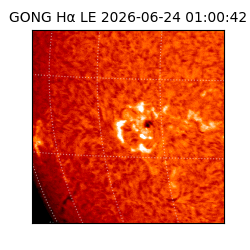gong - 2026-06-24T01:00:42