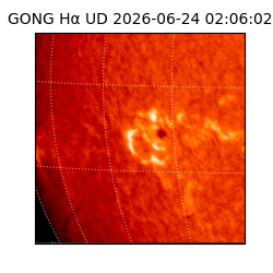 gong - 2026-06-24T02:06:02