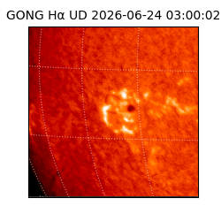 gong - 2026-06-24T03:00:02