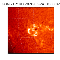 gong - 2026-06-24T10:00:02